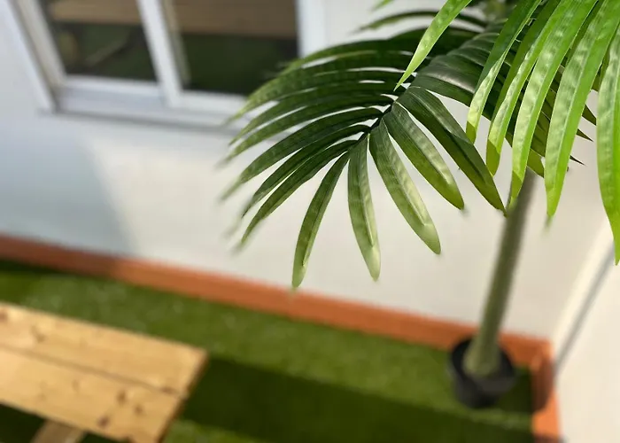 Tatil Evi Terraza De Ciudad, Familly